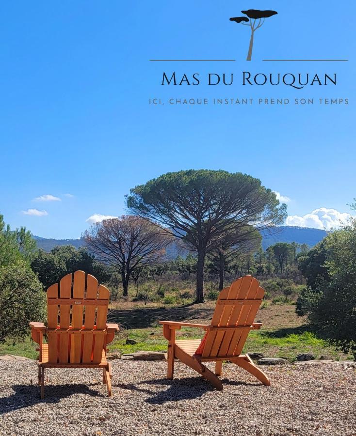 Le Mas Du Rouquan ヴィドーバン エクステリア 写真
