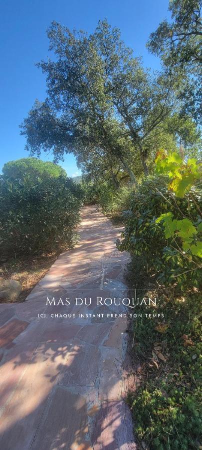 Le Mas Du Rouquan ヴィドーバン エクステリア 写真