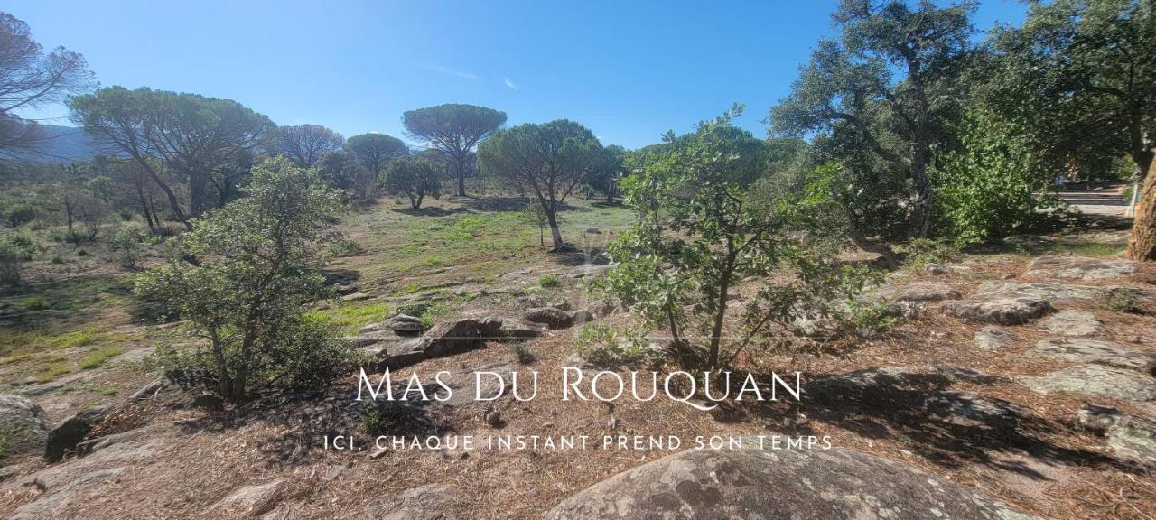 Le Mas Du Rouquan ヴィドーバン エクステリア 写真