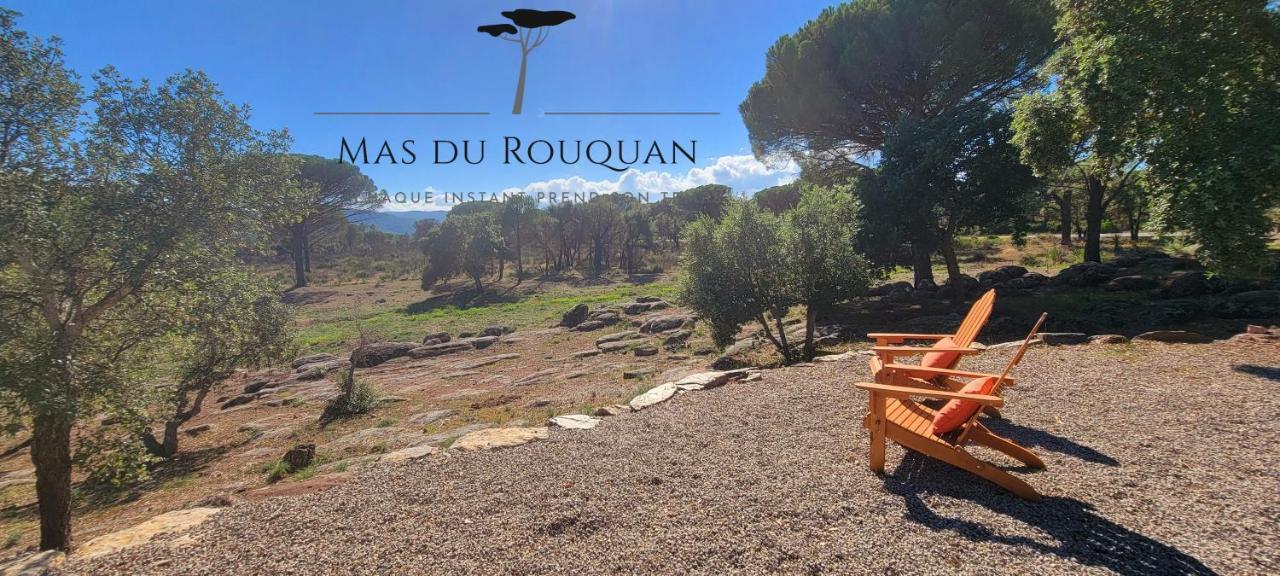 Le Mas Du Rouquan ヴィドーバン エクステリア 写真