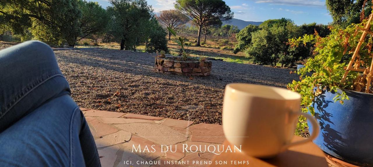 Le Mas Du Rouquan ヴィドーバン エクステリア 写真